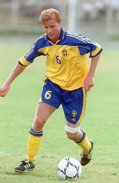 Pontus Farnerud, Sverige