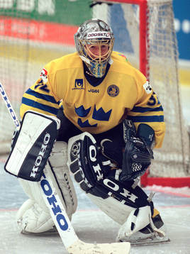 Mikael Tellqvist, Sverige