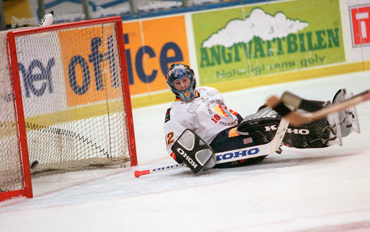 Mikael Tellqvist, Djurgården
