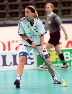Birgitte Lersbryggen, Balrog