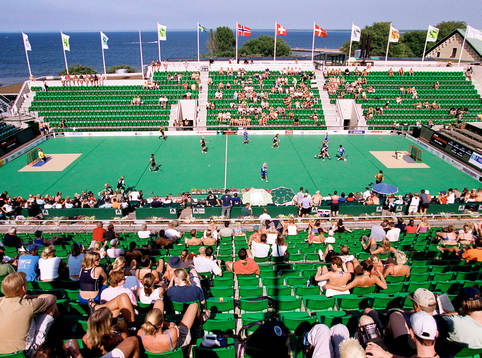 Stadion, arena
