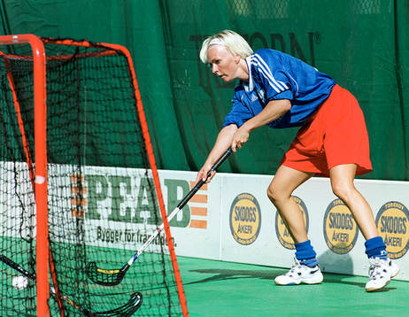 Innebandy, Hovshaga