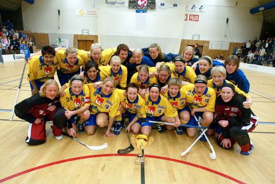 Sverige slog Finland med 2 - 1 och vann