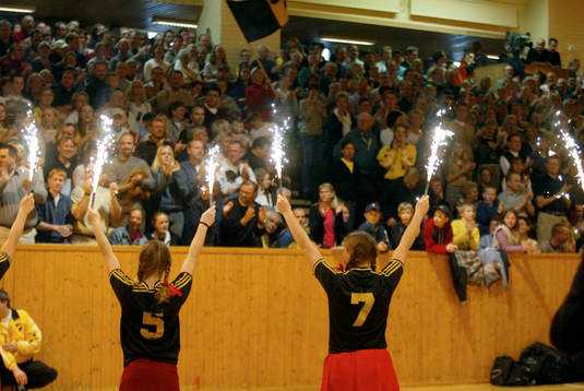 Handboll. Dam. SM-final. Team Skåne - Sävehof.