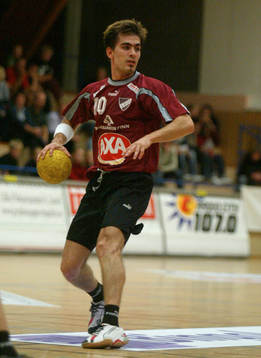 Dalibor Doder, Lugi