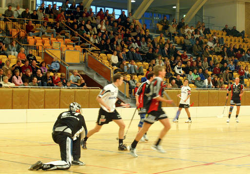 Innebandy,  elitserien, Högaborg - Pixbo. Storpublik i