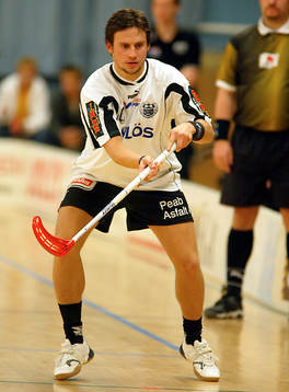 Lars Palmgren, Högaborg