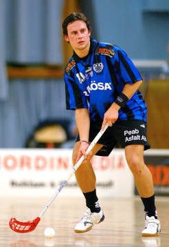 Lars Palmgren, Högaborg