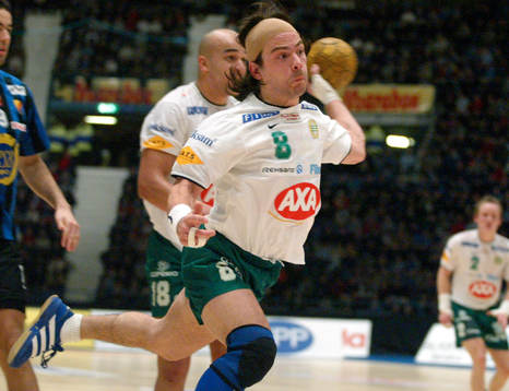 Micael Schjölin, Hammarby