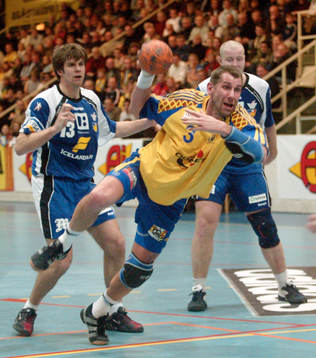 Magnus Wislander, Sverige