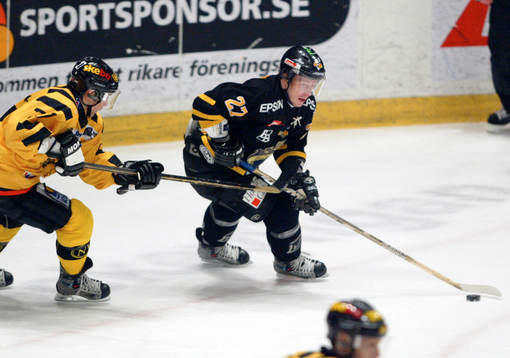 Steve Potvin, Skellefteå och Roger Jönsson, AIK