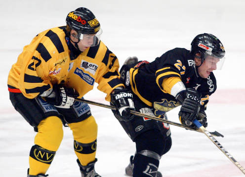Steve Potvin, Skellefteå och Roger Jönsson, AIK