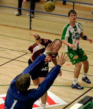 Handboll, elitserien, Lugi - Hammarby