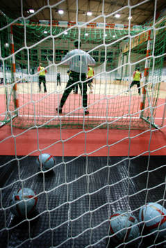 Handboll, VM, Sverige, träning