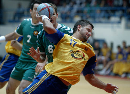 Ljubomir Vranjes, Sverige