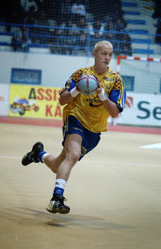 Johan Petersson, Sverige