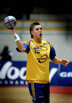 Jonas Larholm, Sverige