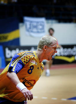 Johan Petersson, Sverige