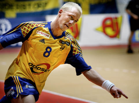 Johan Petersson, Sverige