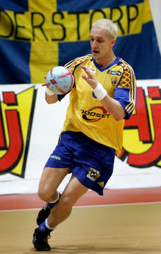 Johan Petersson, Sverige