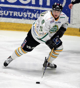 Aleksandrs Nizivijs, Björklöven