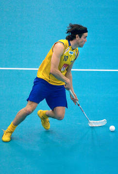 Mathias Larsson, Sverige