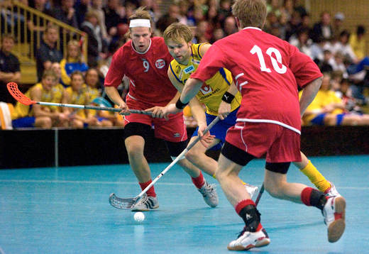 Johan Andersson, Sverige