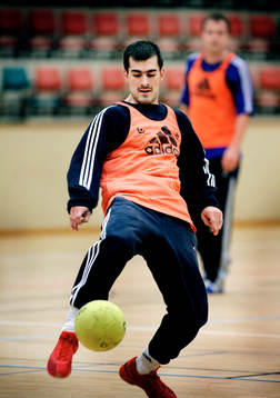Handboll, Sverige, träning. Dalibor Doder, Sverige