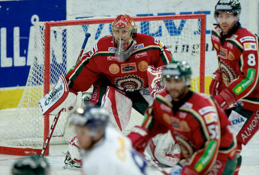 Tommy Salo, målvakt