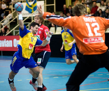Ljubomir Vranjes, Sverige