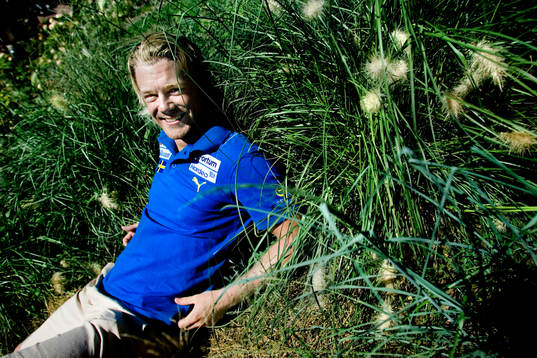 Daniel Persson, Sverige