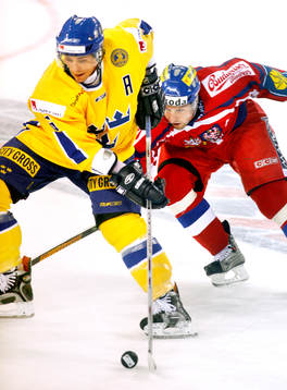 Magnus Johansson, Sverige