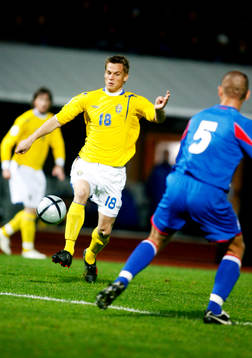 Markus Rosenberg, Sverige