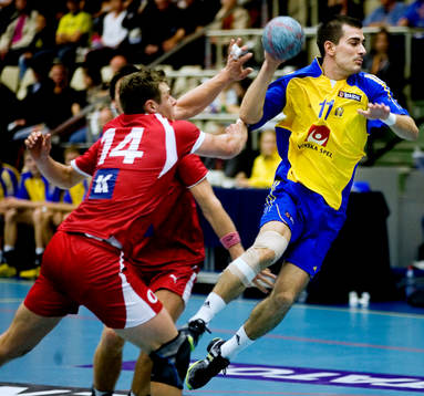 Dalibor Doder, Sverige