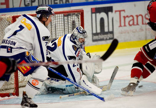 Roman Cechmanek, Linköping (Målvakt)