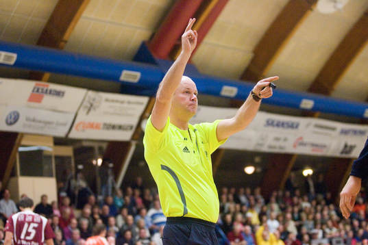 Domare, utvisning