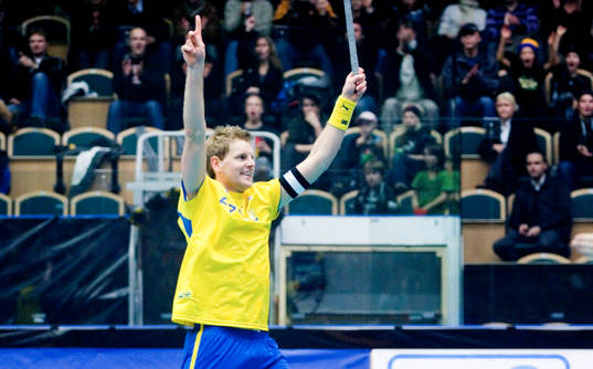 Niklas Jihde, Sverige jubel