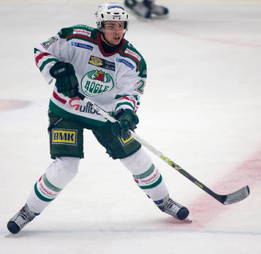 Johannes Reichel, Rögle