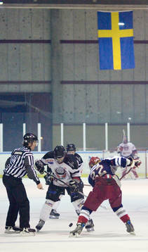 Tekning, genre, svensk flagga