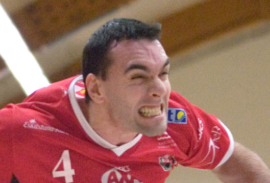 Aleksandar Svitlica, Guif