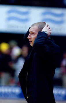 Stefan Bergman, Coach