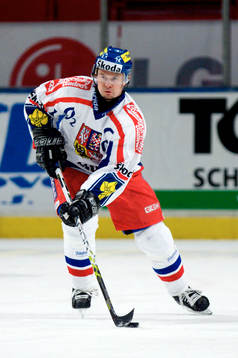 Radek Hamr, Tjeckien