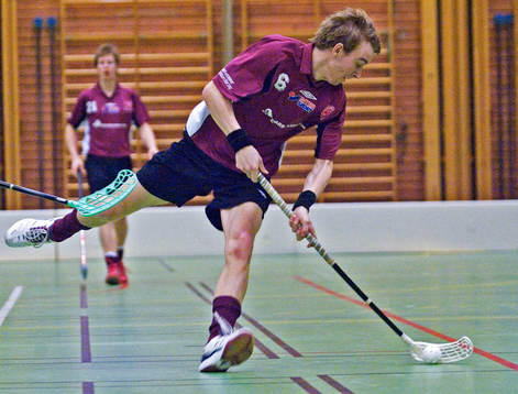Innebandy, Division 2, Södra Dal - Lugi