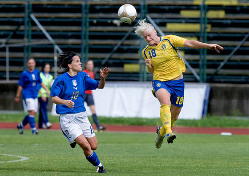 Nilla Fischer, Sverige