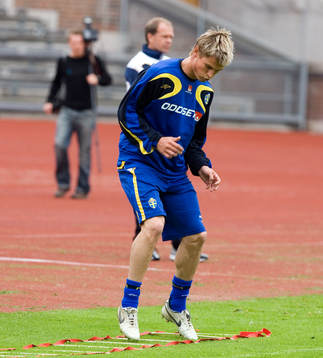 Markus Rosenberg, Sverige
