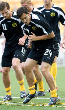Stefan Ishizaki, Elfsborg. Träning