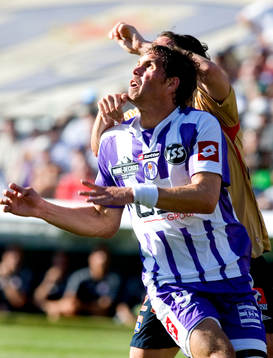 Johan Elmander, Toulouse