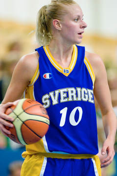 Elisabeth Egnell, Sverige