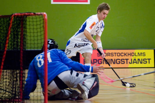 Linus Jämtdal, Täby
