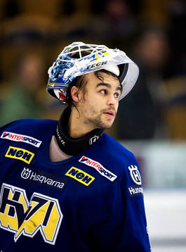 Ishockey, Elitserien, Stefan Liv, målvakt, HV71